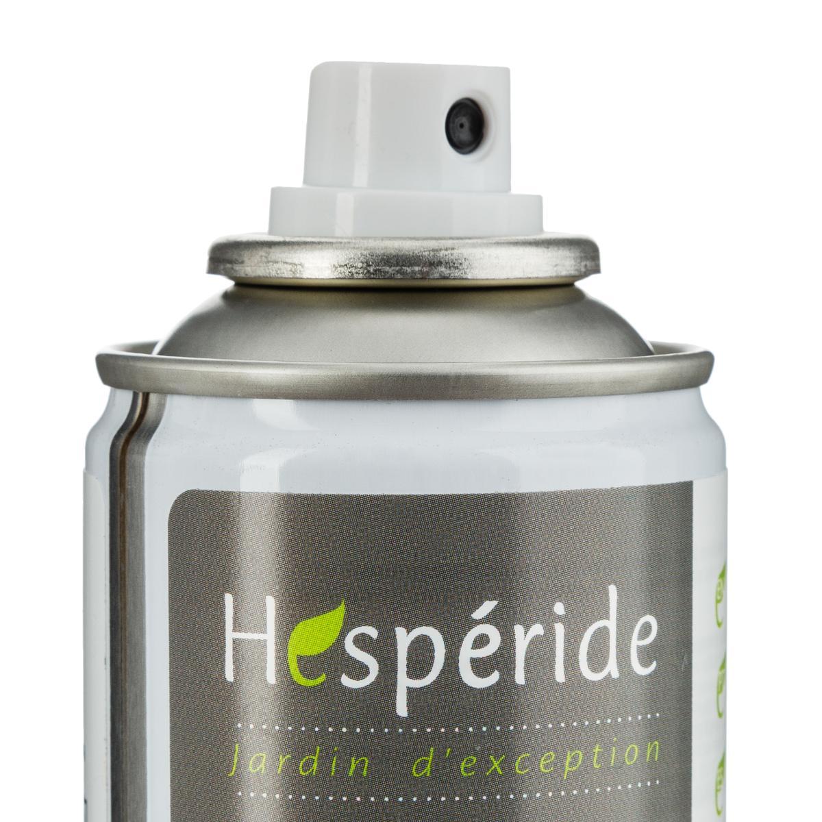 AEROSOL IMPERMEABILISANT 200ML