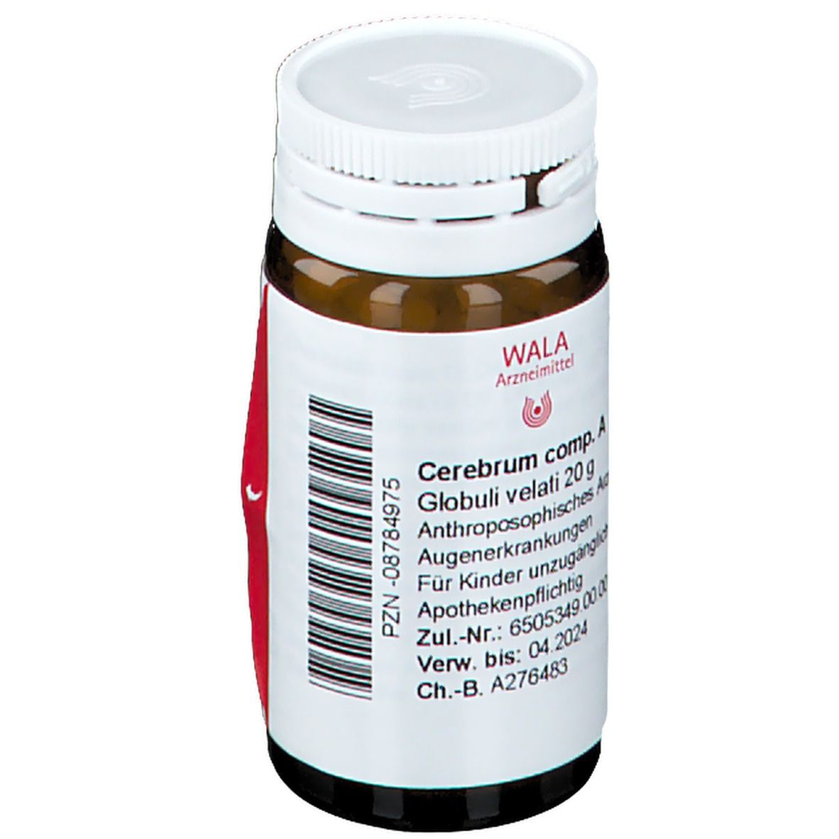 Cerebrum Comp. A Globuli