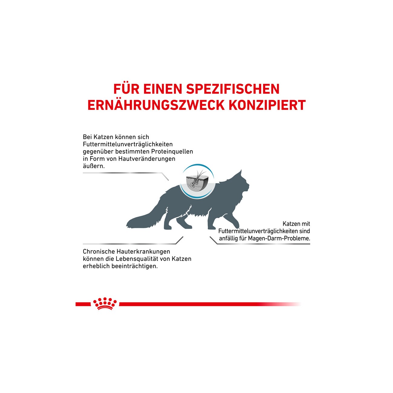 ROYAL CANIN Veterinary Hypoallergenic 400 g