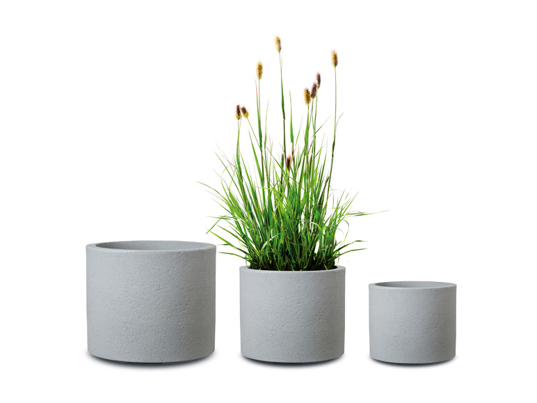 Plantenbak