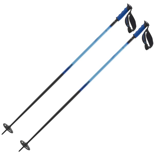 Bâton de ski SALOMON HACKER S3 BLACK PURPLE