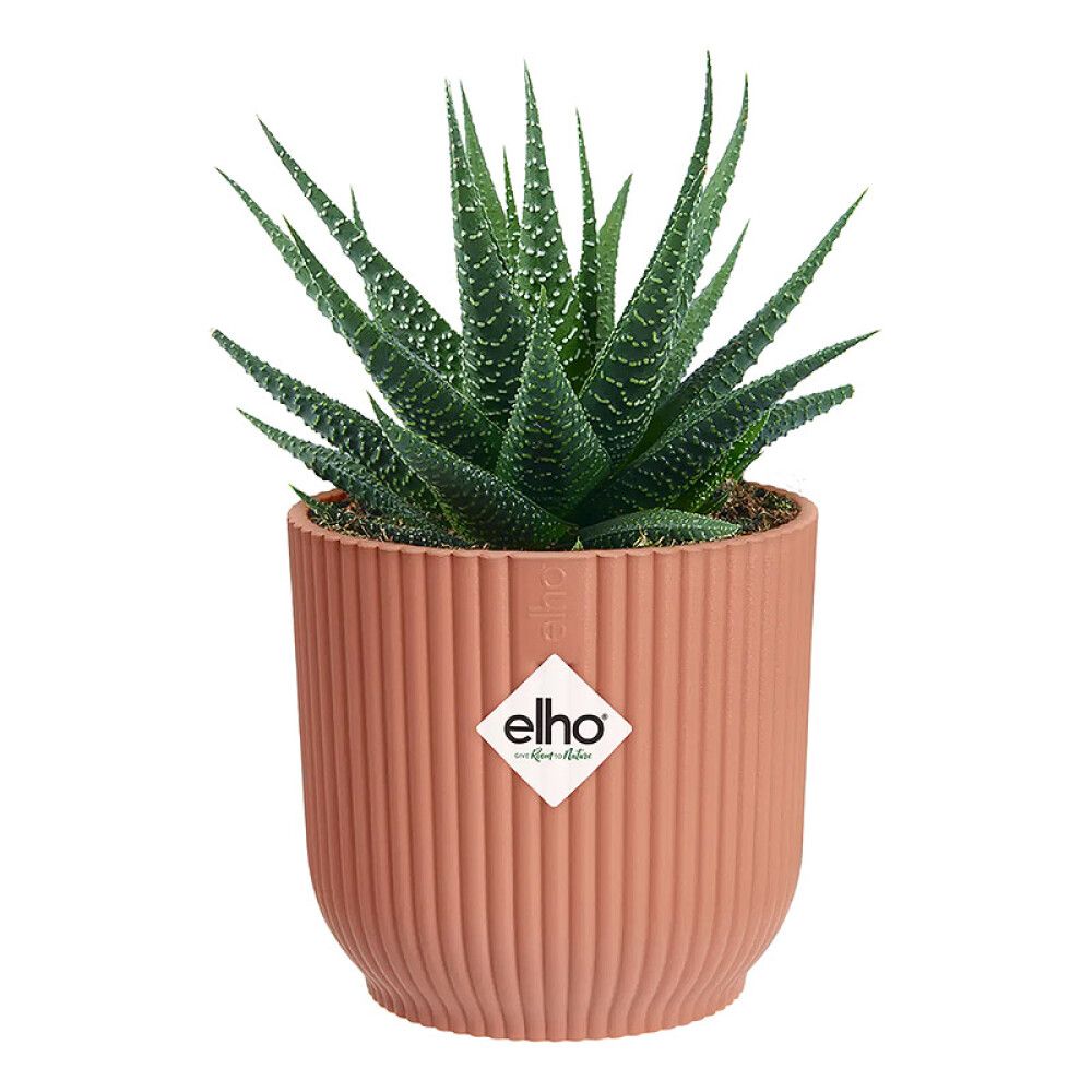 INNEPOTTE ELHO VIBES FOLD ROUND MINI Ø11CM ROSA