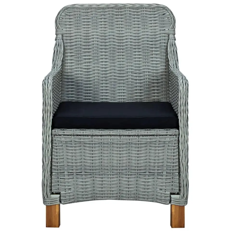 vidaXL - Tuinstoel - Grijs - Poly rattan - 2 stuks