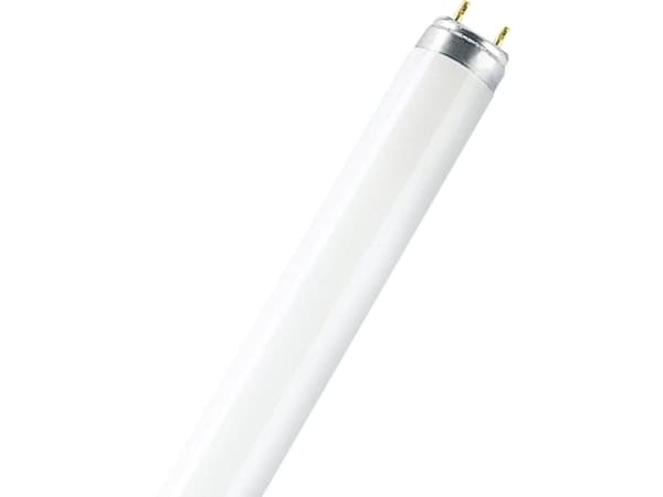 OSRAM LUMILUX - Fluorescerende lyspære - form: T8 - G13 - 15 W - klasse G - INTERNA-lys - 2700 K