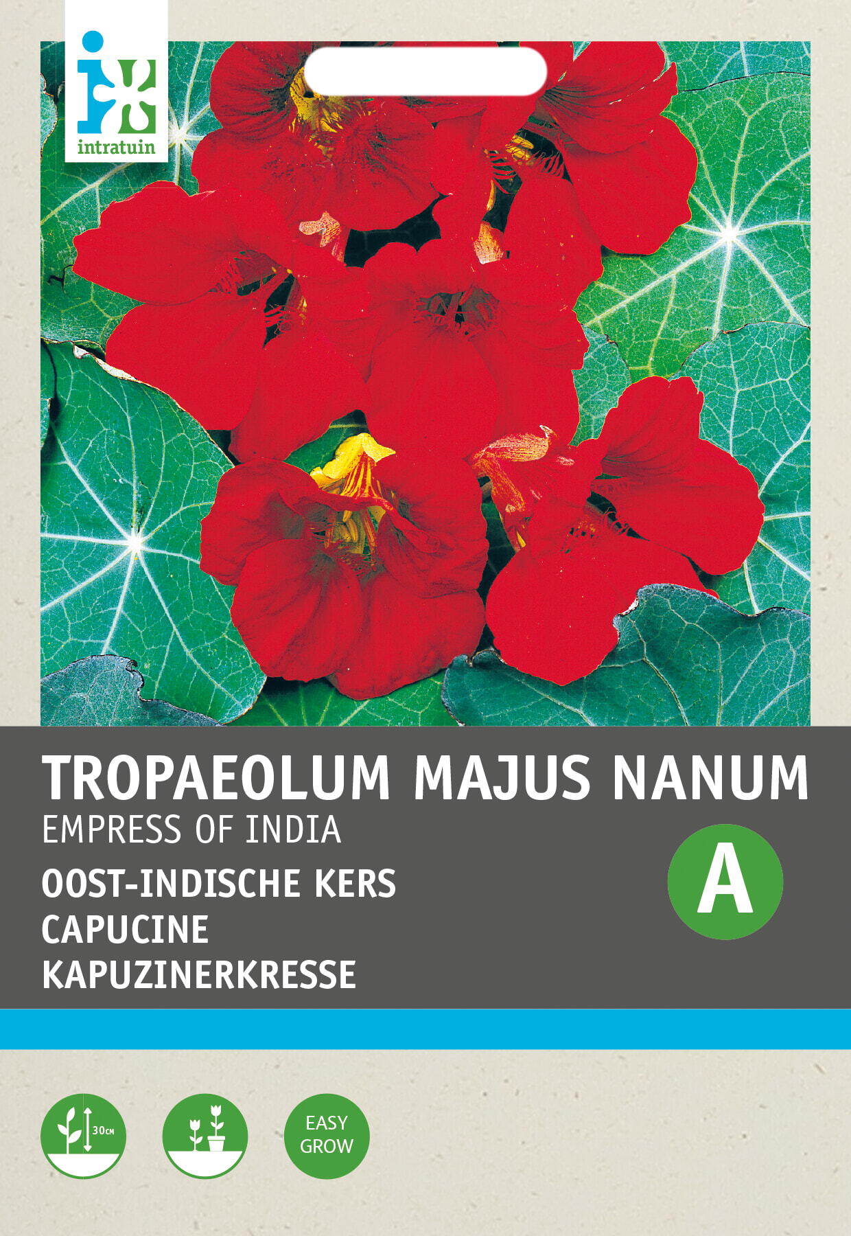 Intratuin bloemenzaad Oost-Indische kers rode bloem (Tropaeolum majus nanum 'Impress of India')