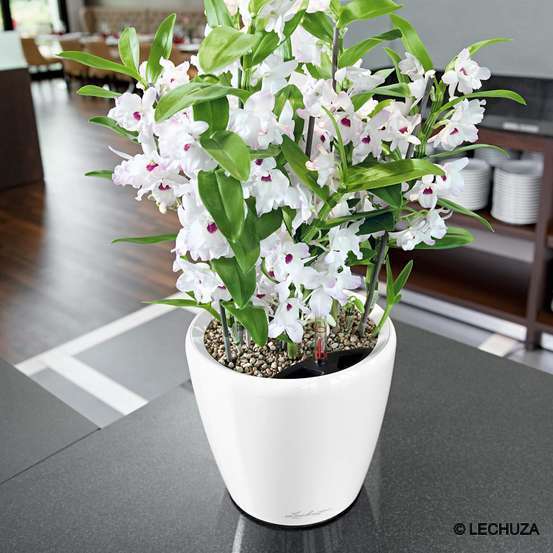 Pot Classico Premium en polypropylène, blanc Ø 21 cm