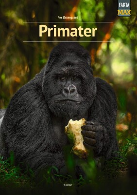 Primater - Per Østergaard - Bog