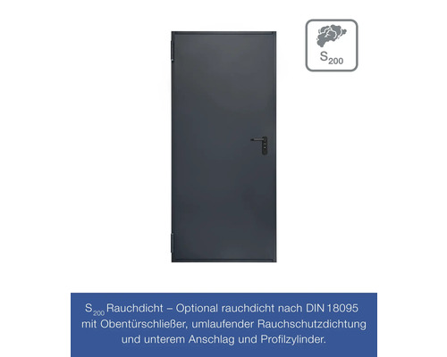 Hörmann multifunctionele kelderdeur T30 H8-5 RAL 7016 antracietgrijs 875x2000 mm omkeerbaar links/rechts