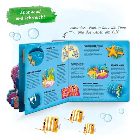 Trötsch Fensterbuch Das Korallenriff