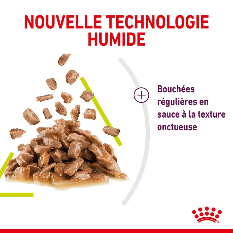 Royal Canin Sensory Smell en sauce