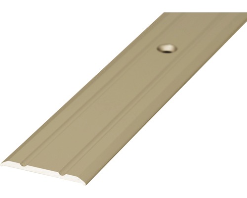Overgangsprofiel aluminium roestvrij staal mat geperforeerd 25 x 1000 mm