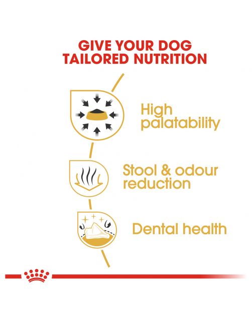 Royal Canin Chihuahua Adult - Hondenvoer