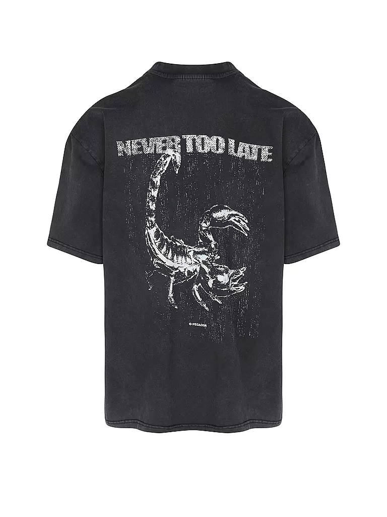 PEGADOR T-Shirt FILBERT schwarz