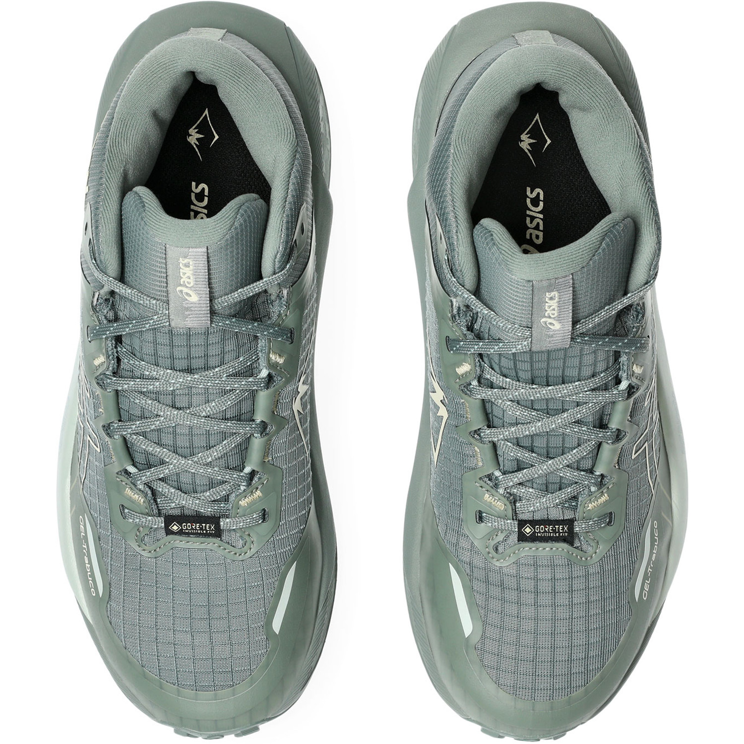 ASICS GEL-Trabuco MT GTX Dames