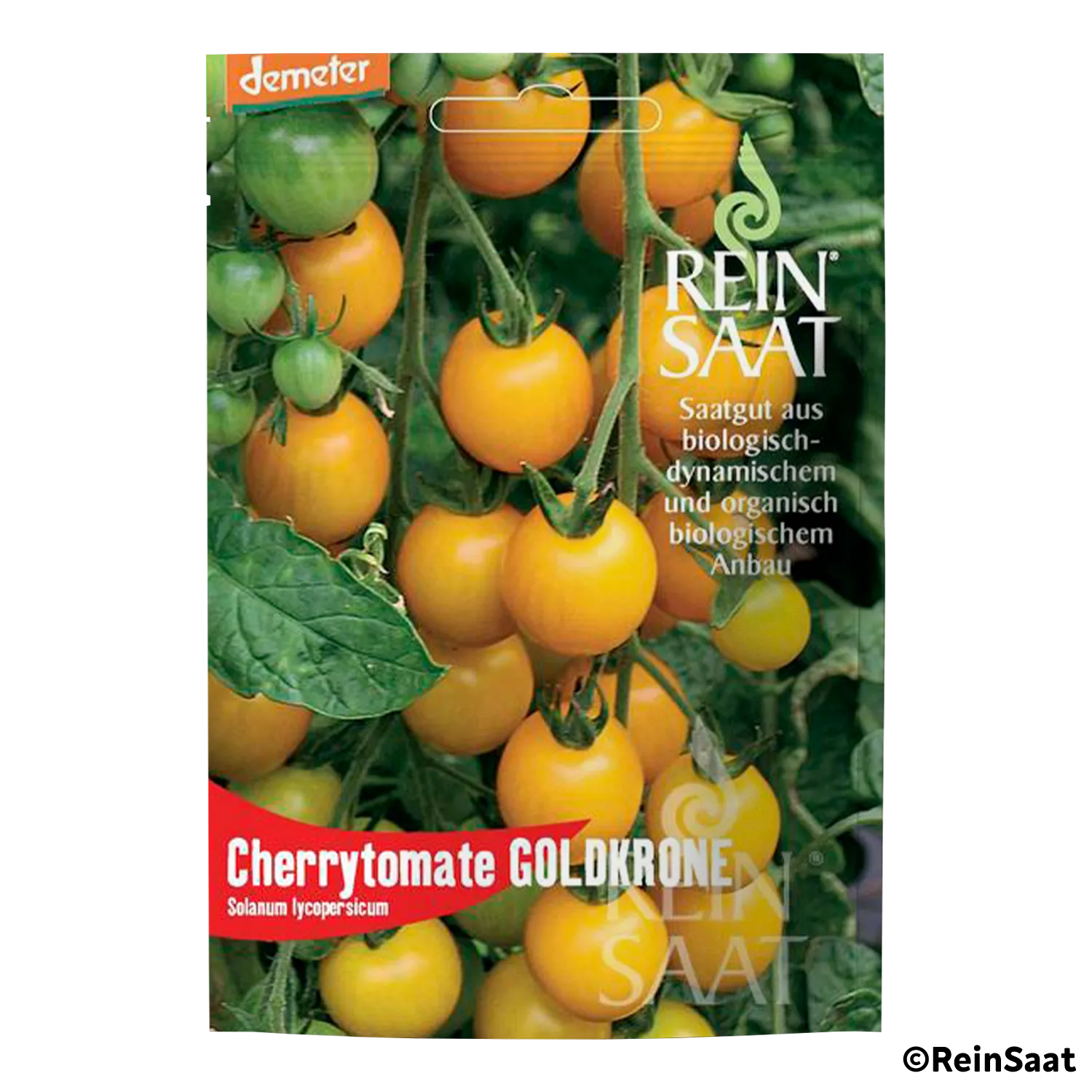 Saatgut Tomate 