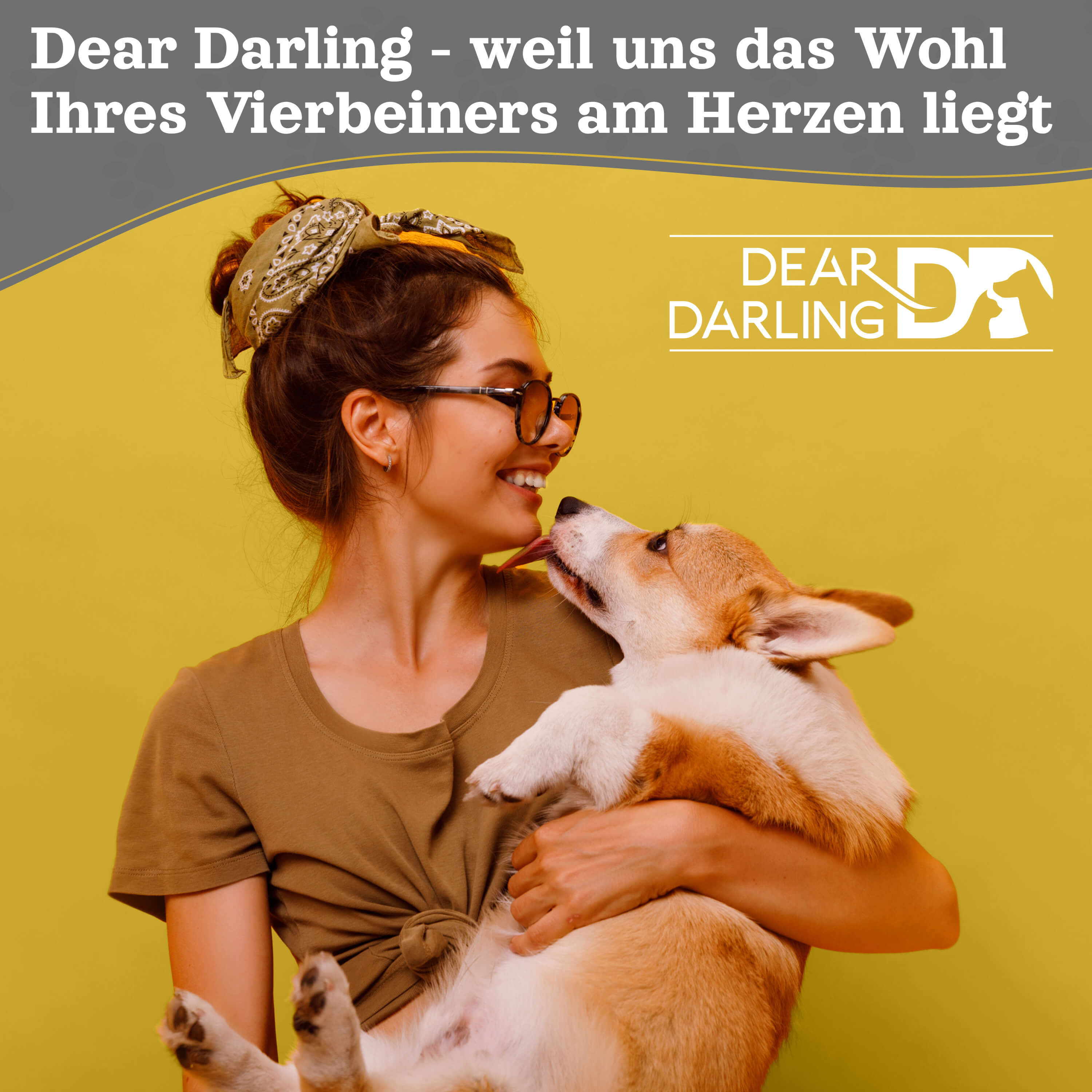 DEAR DARLINGLuxus Katzenkorb Hundekorb grau Gr. M 36x40cm Haus Höhle