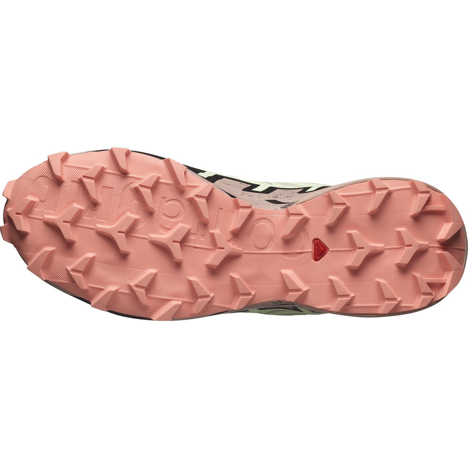 SalomonSpeedcross 6 GTX W