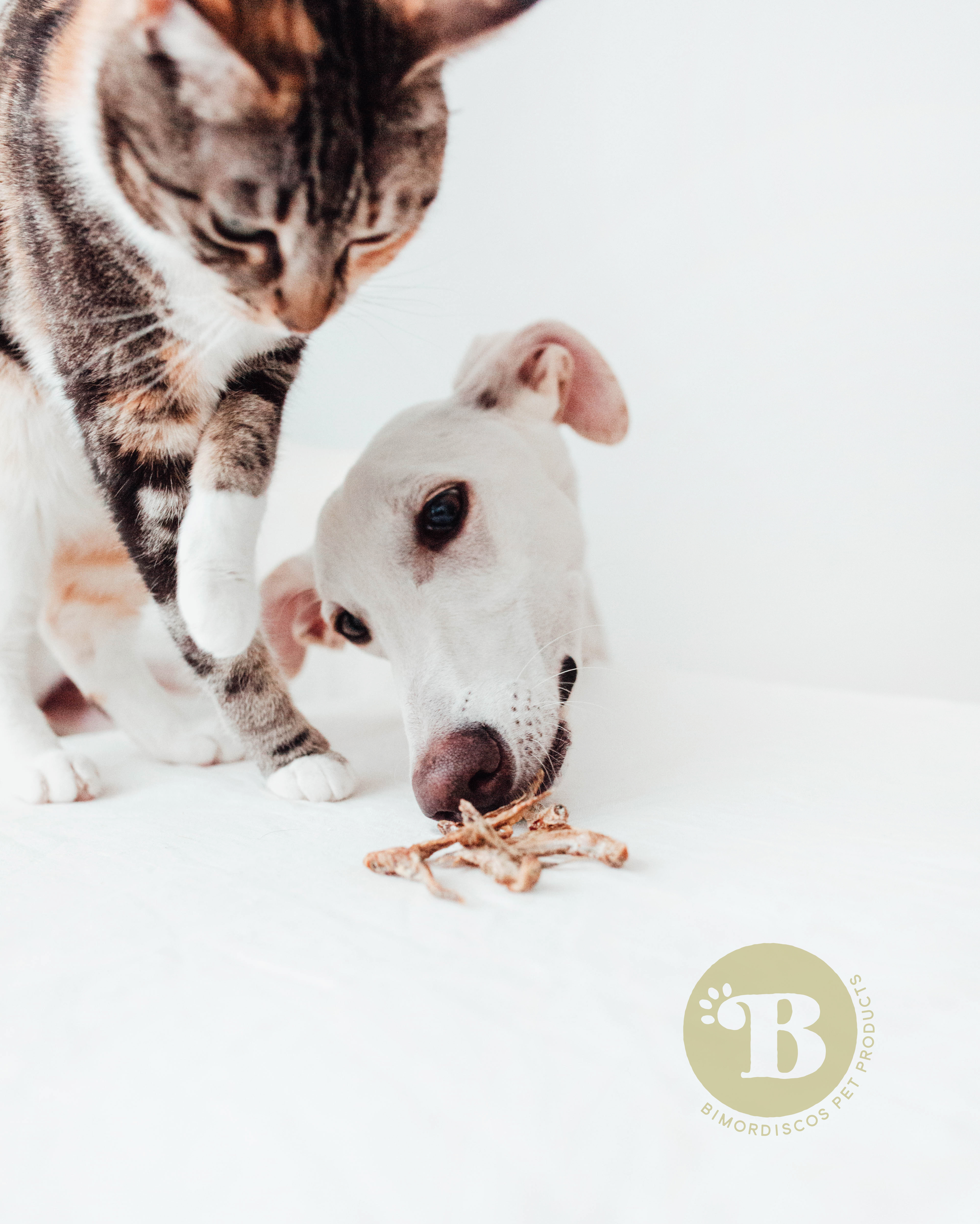 BIMORDISCOS Pequeno Peixe Smelt para Cães e Gatos