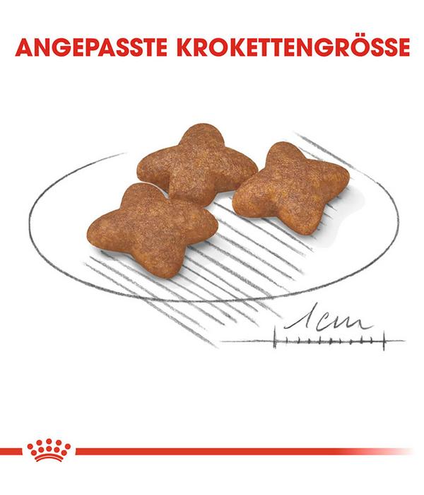 ROYAL CANIN® Trockenfutter für Hunde Mini