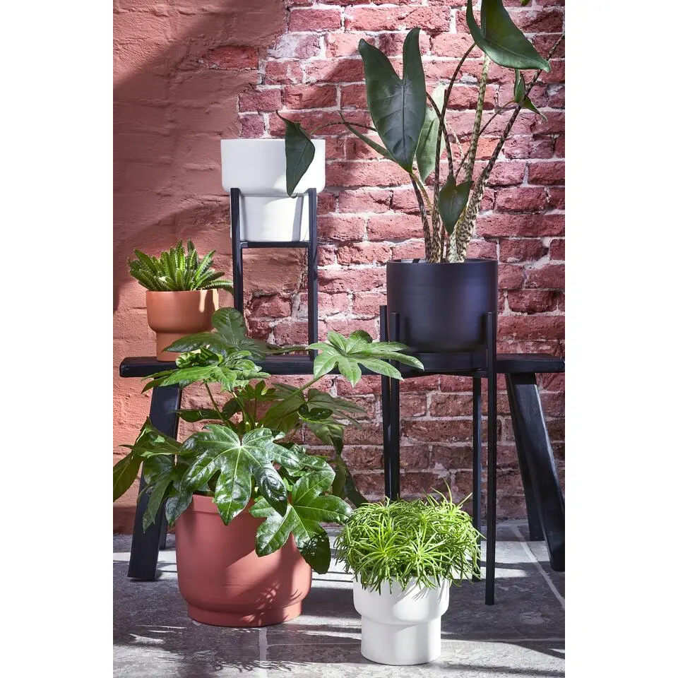 Mica Decorations Ascot Plantenstandaard XL - H49,5 cm - Zwart