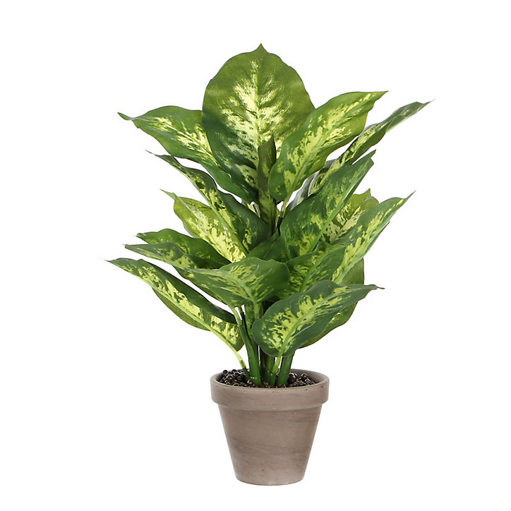 Dieffenbachia vert artificiel ø30 x h.40 cm en pot Stan gris ø11,5 cm