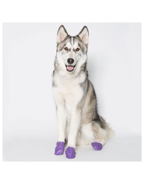 Pawz Rubber Dog Boots - Hondenschoen - Paars Large
