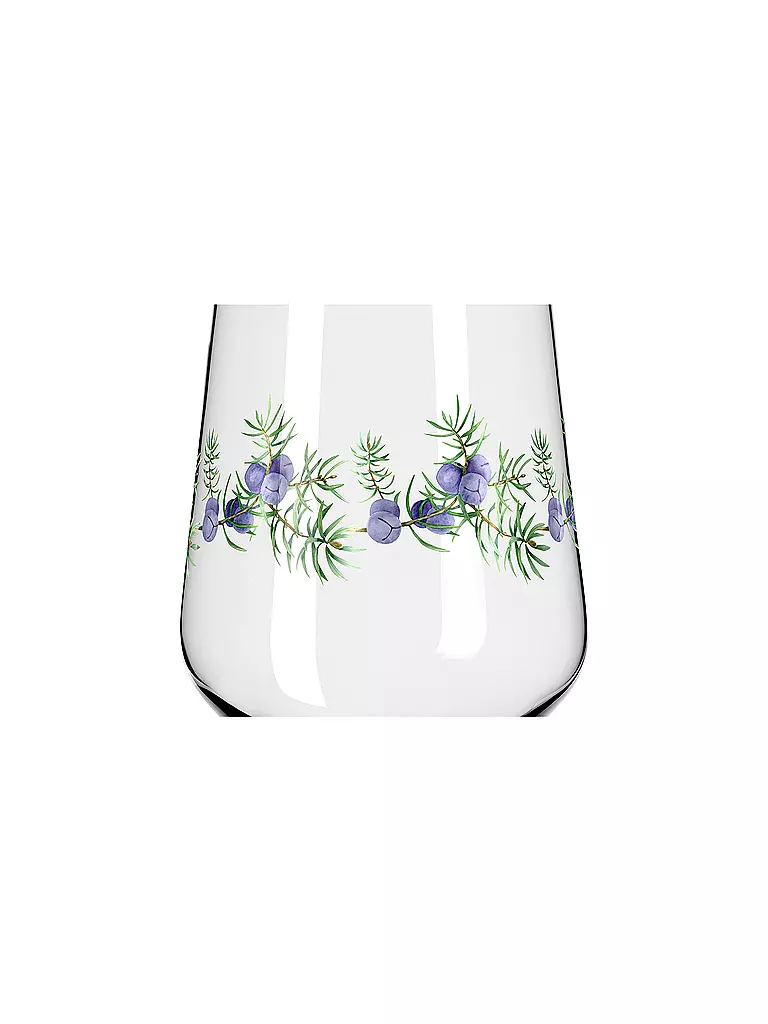 RITZENHOFF Gin Tumbler 2-er Set BOTANIC LIGHTS  #5 #6 Design Team bunt