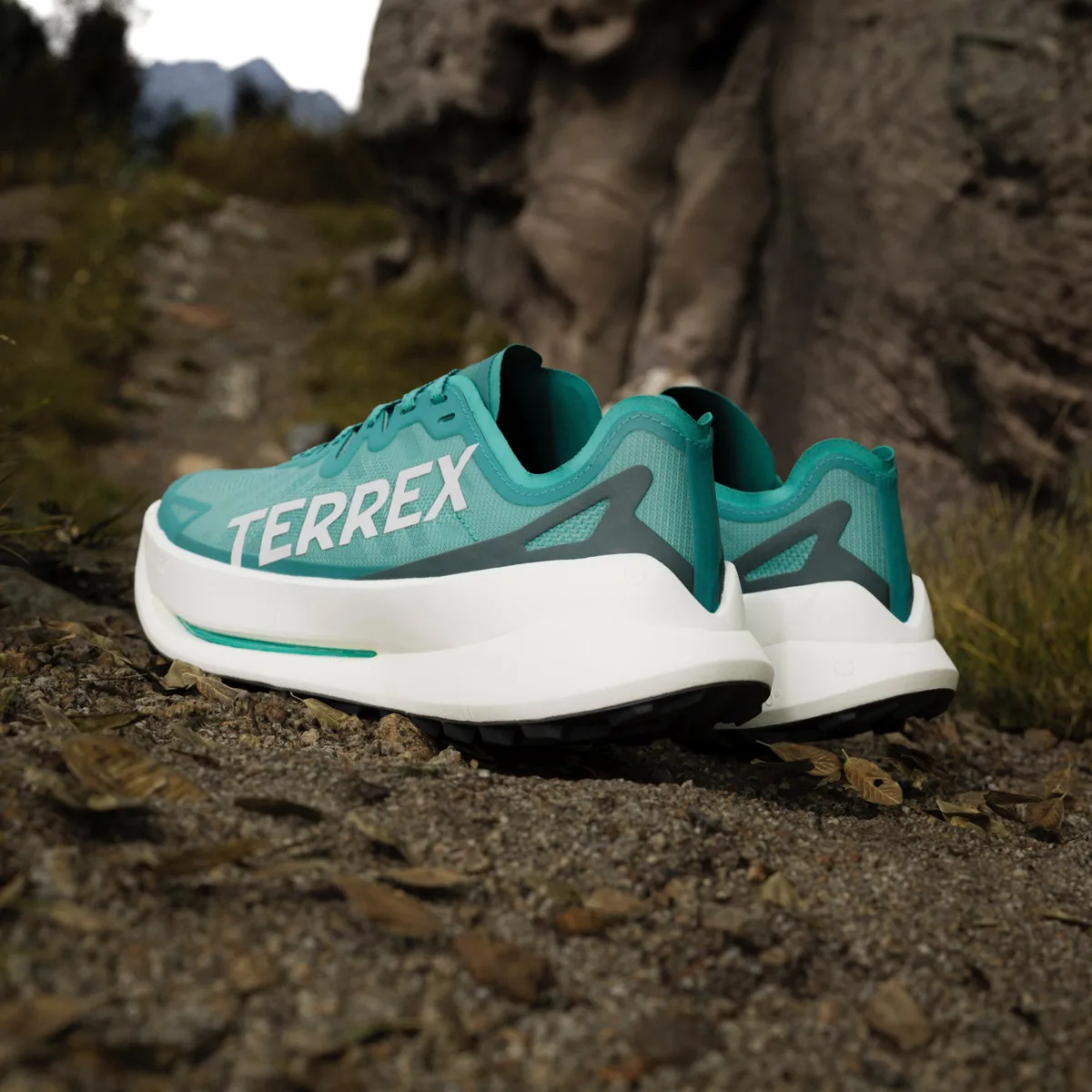 Adidas Men's Terrex Agravic Speed Ultra Purtea/greone/aurivy