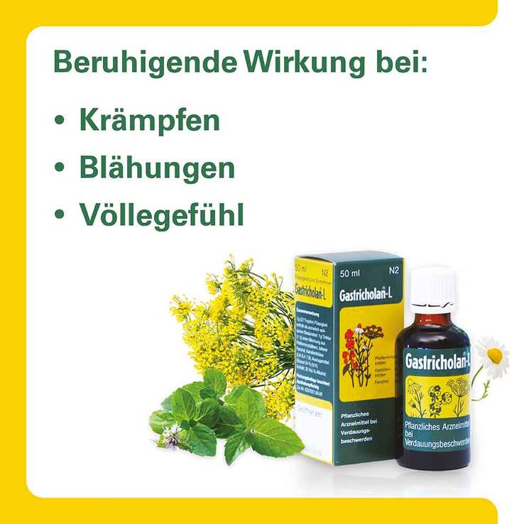 Gastricholan L flüssig, 30 ml