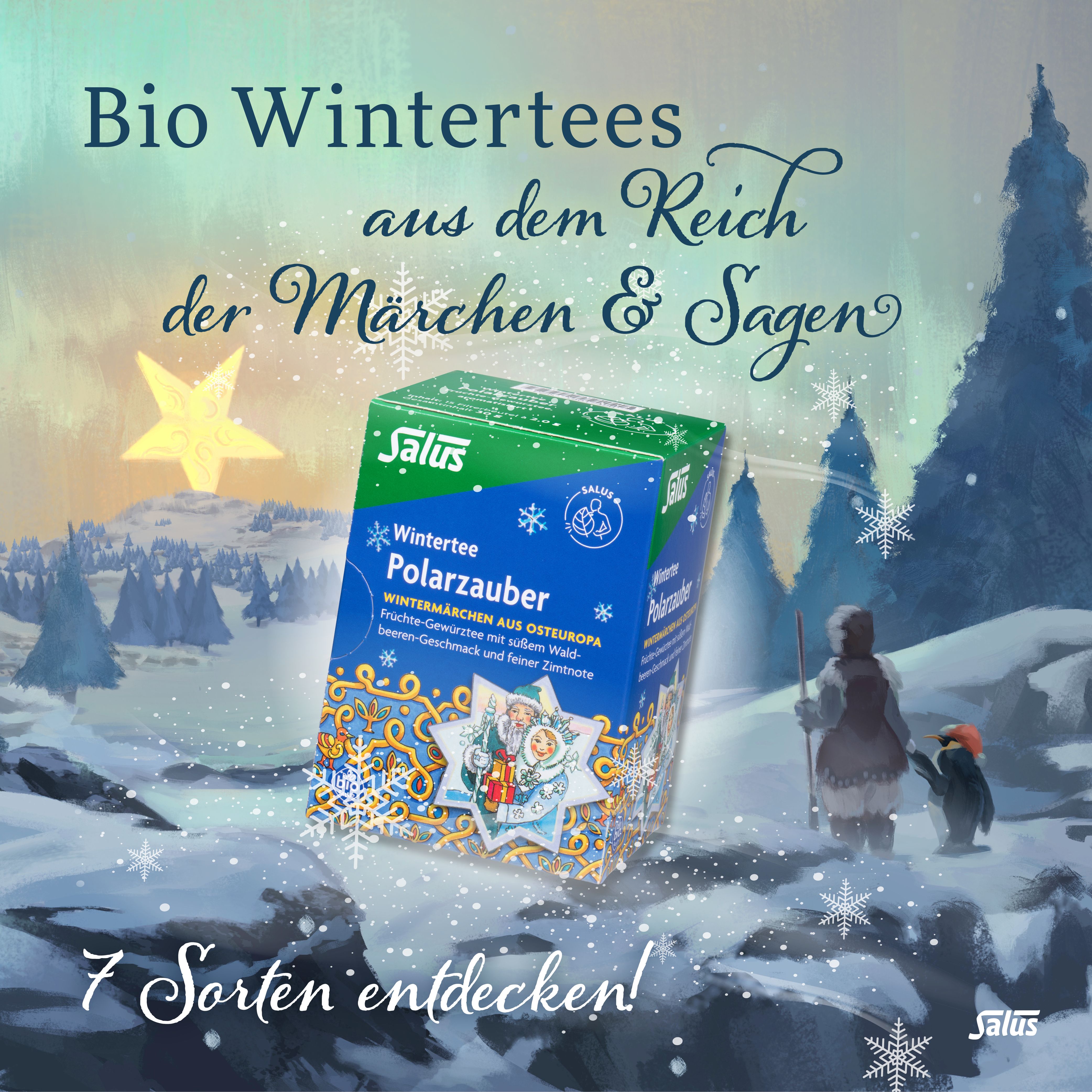 Salus® Winter-Hexe Kräuter-Gewürztee