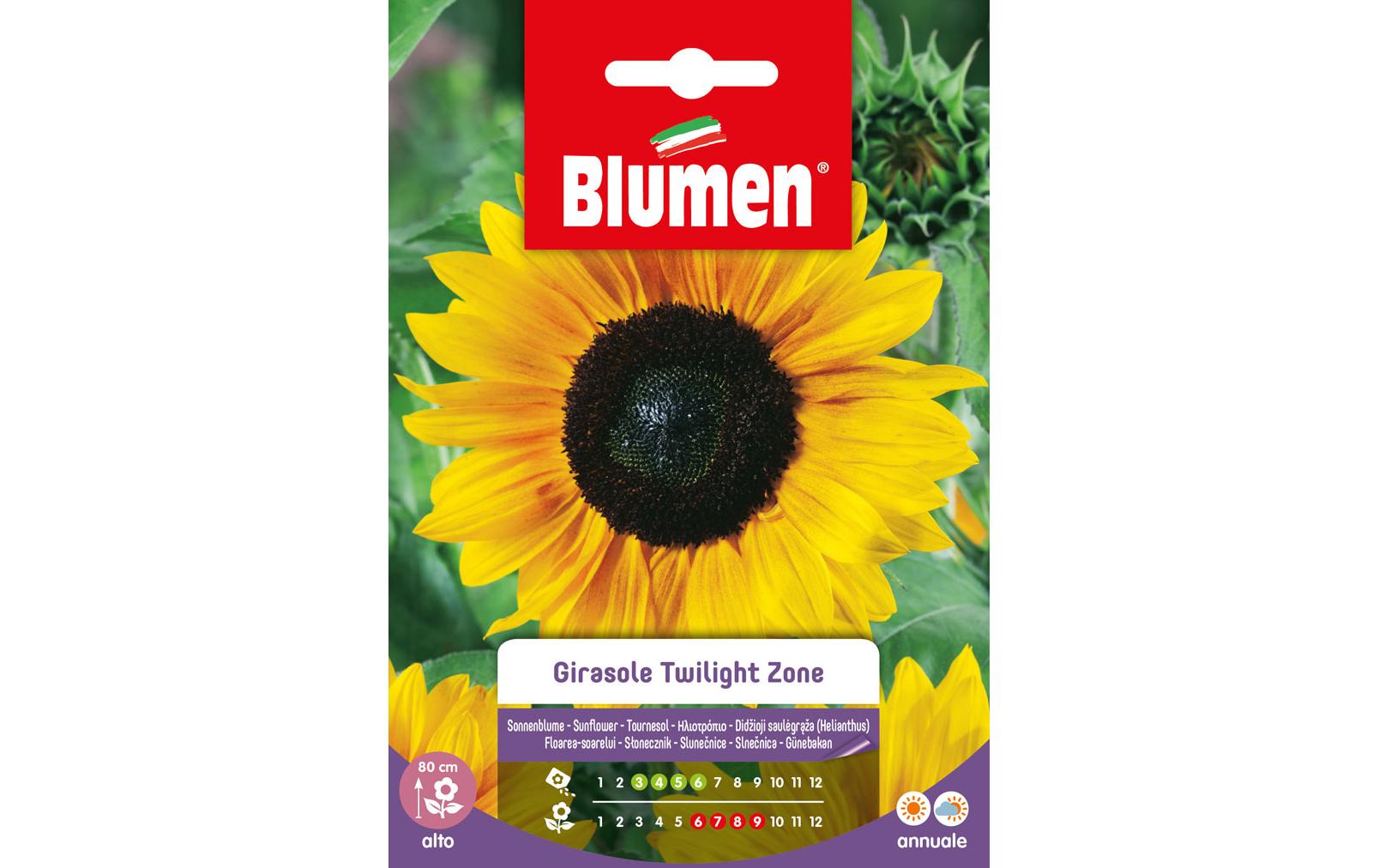 Saatgut Sonnenblume Twilight ZoneBlumensamen