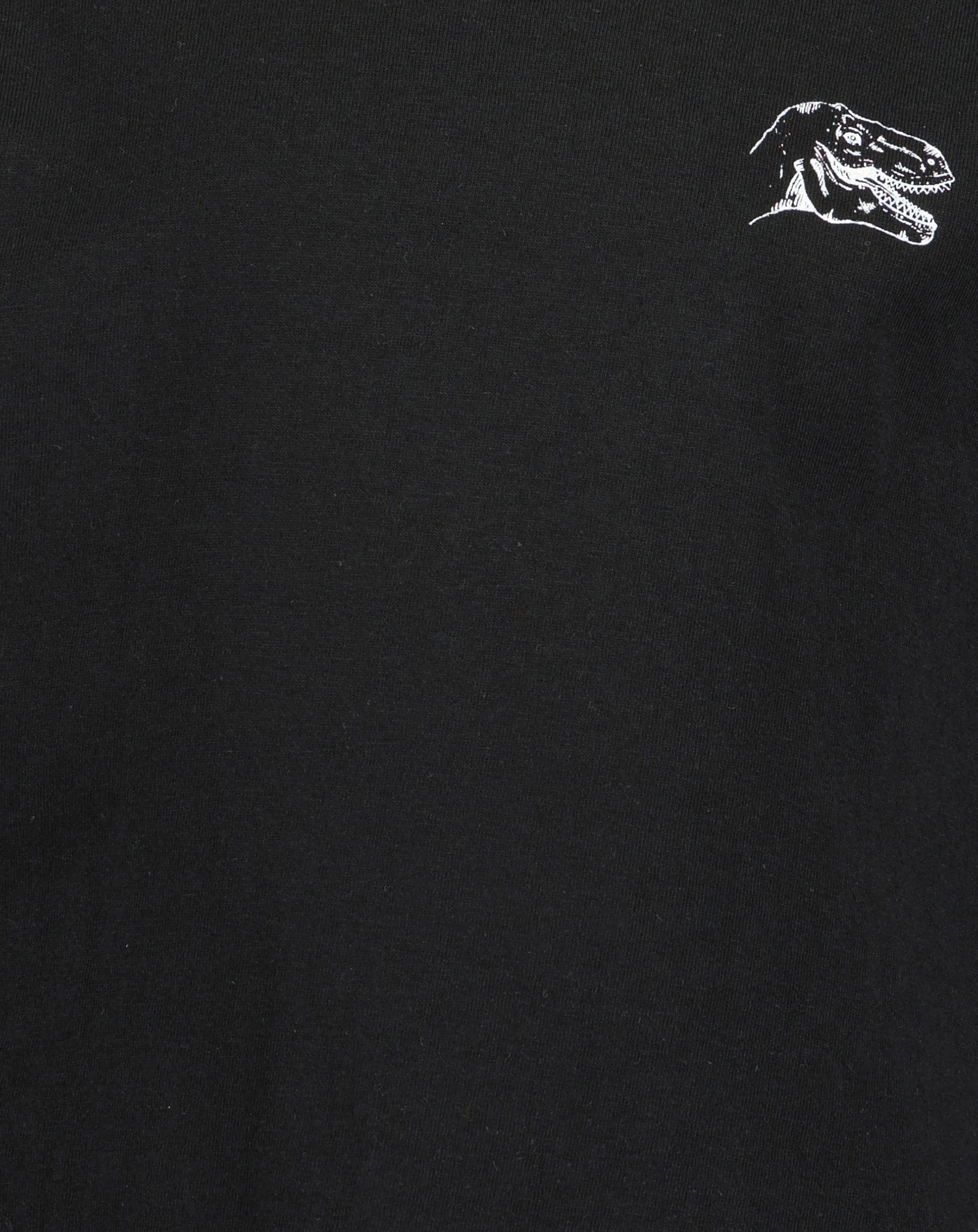 Langarmshirt T-REX CREW in schwarz