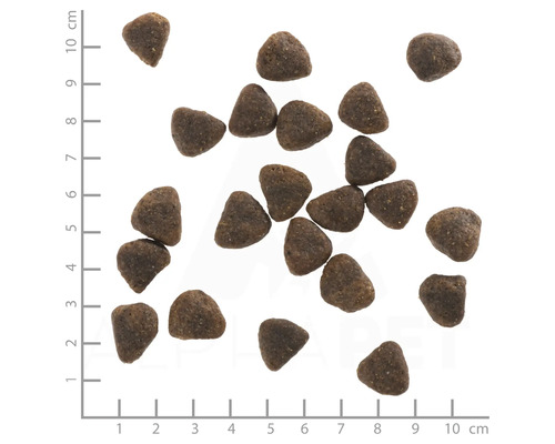 Wolfsblut Wide Plain Adult droog hondenvoer, paard met zoete aardappelen en waardevolle superfoods, graanvrij, glutenvrij, 12,5 kg