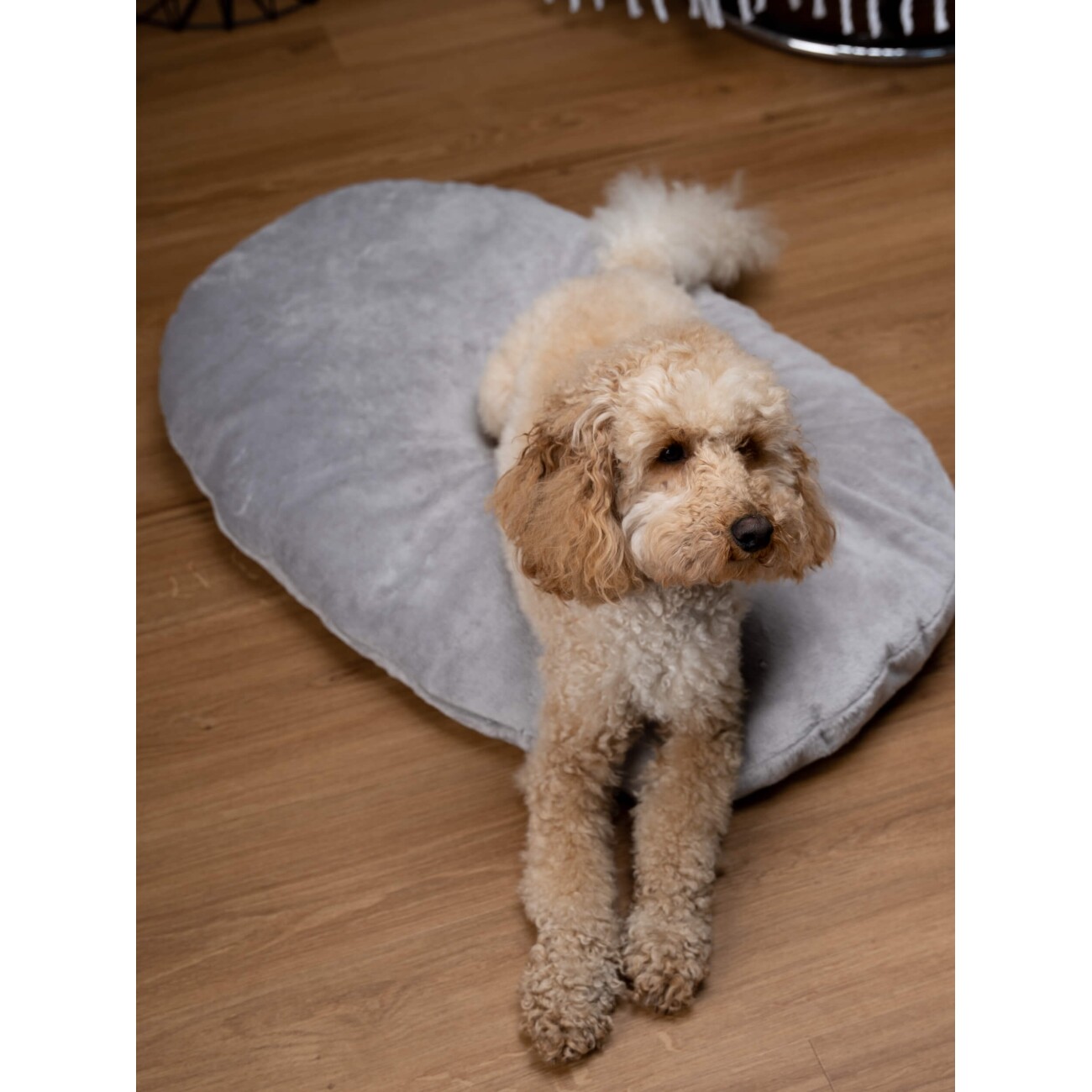 TrendPet Emma Liegekissen grau XL