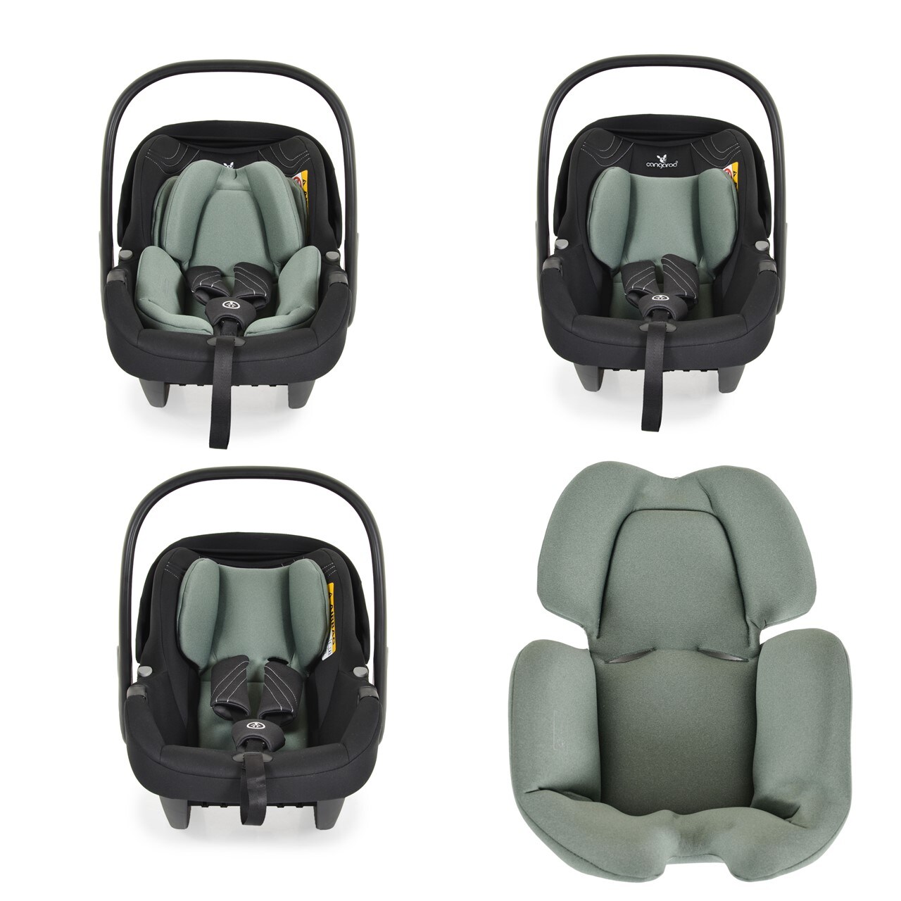 Cangaroo Babyschale i-Size (40 - 83cm) Gruppe 0+ Gurt, verstellbare Kopfstütze grün
