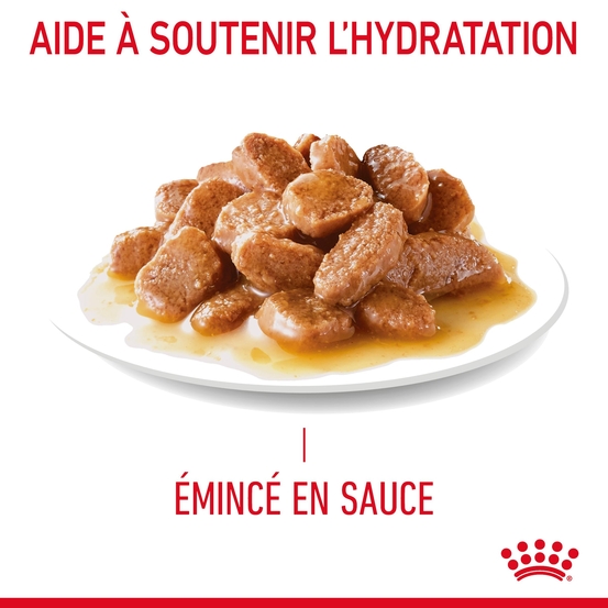 Bouchées en sauce chat Adulte santé urinaire Urinary 12x85g