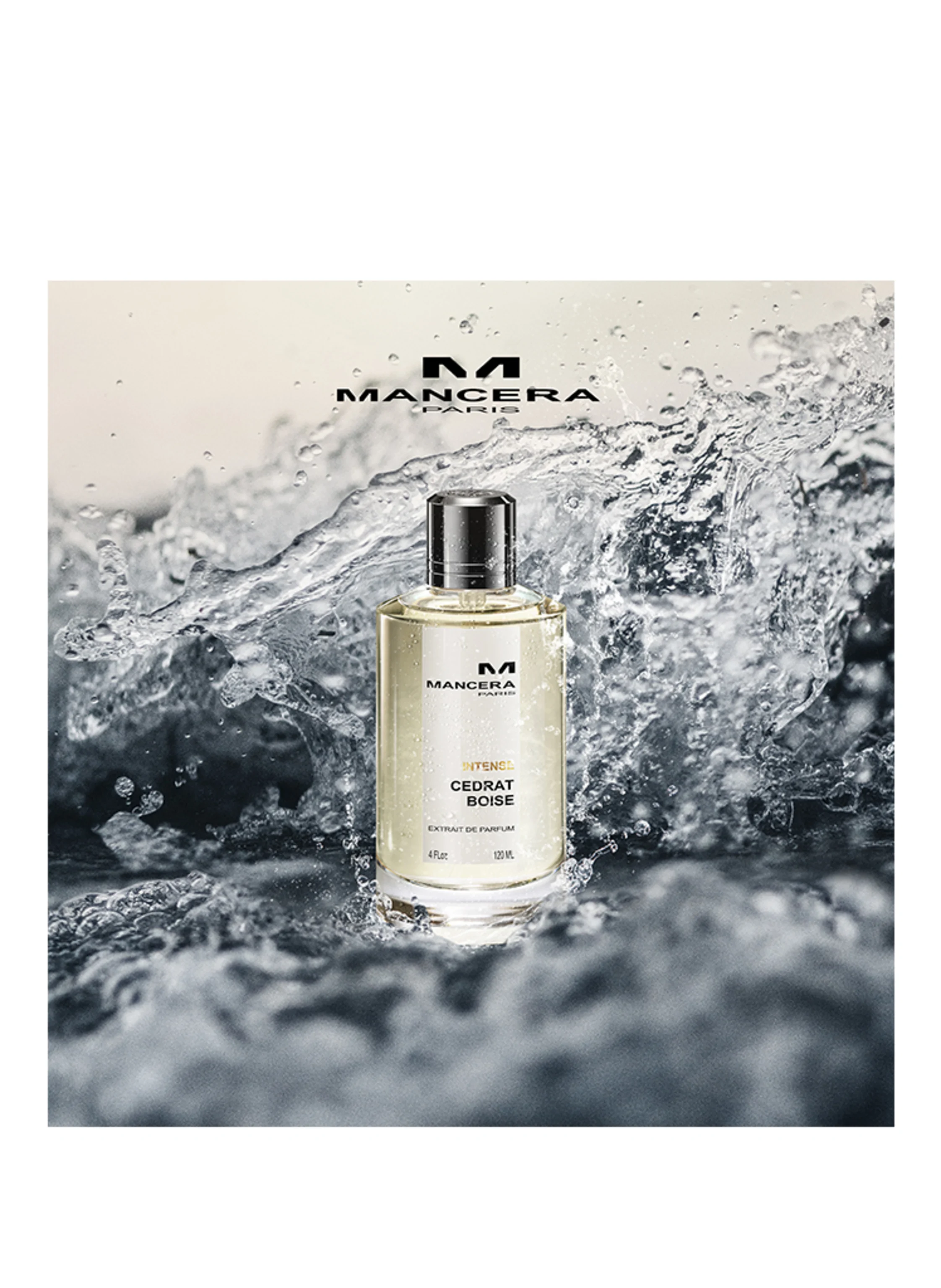 MANCERA INTENSE CEDRAT BOISE