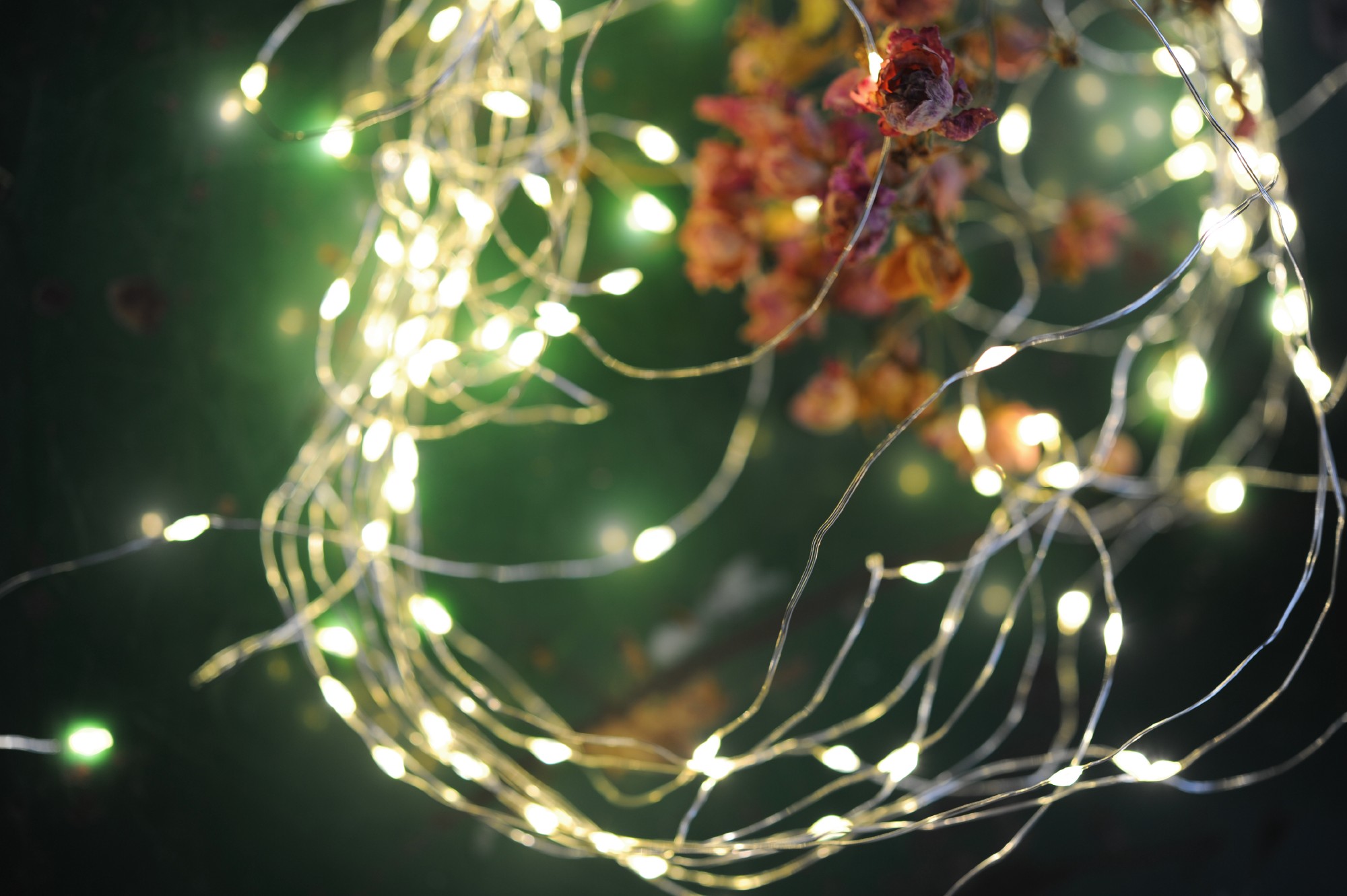 Indoor & Outdoor Lichterschnur 'Lumois', 125 LED, 13 Strippen, 100 cm von fischer's lagerhaus
