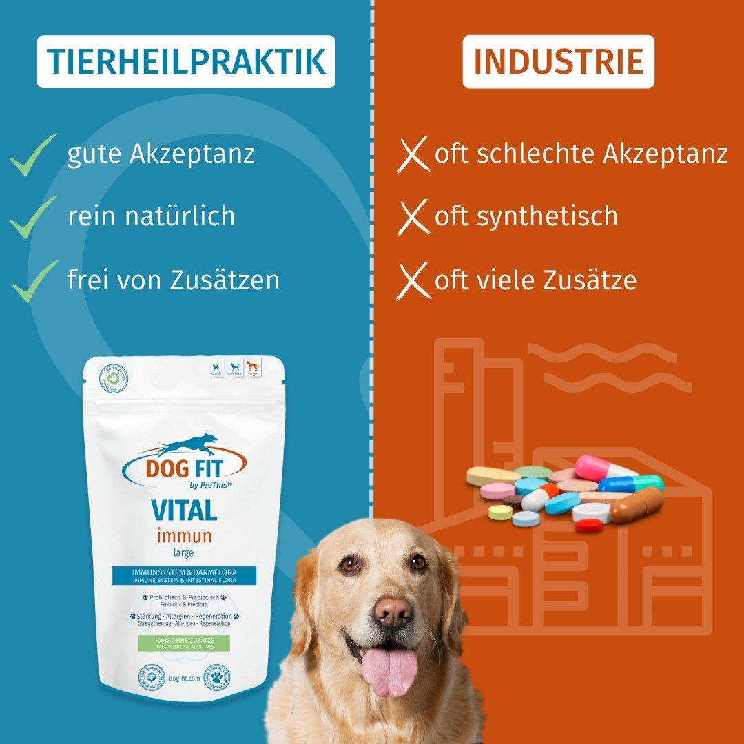 DOG FIT by PreThis® VITAL immun » Abwehrkräfte, Darm- und Muskelaufbau, bei Allergien (large)