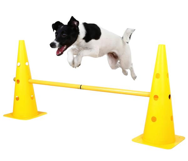 KERBL Hundespielzeug Agility Pylonen-Hürden