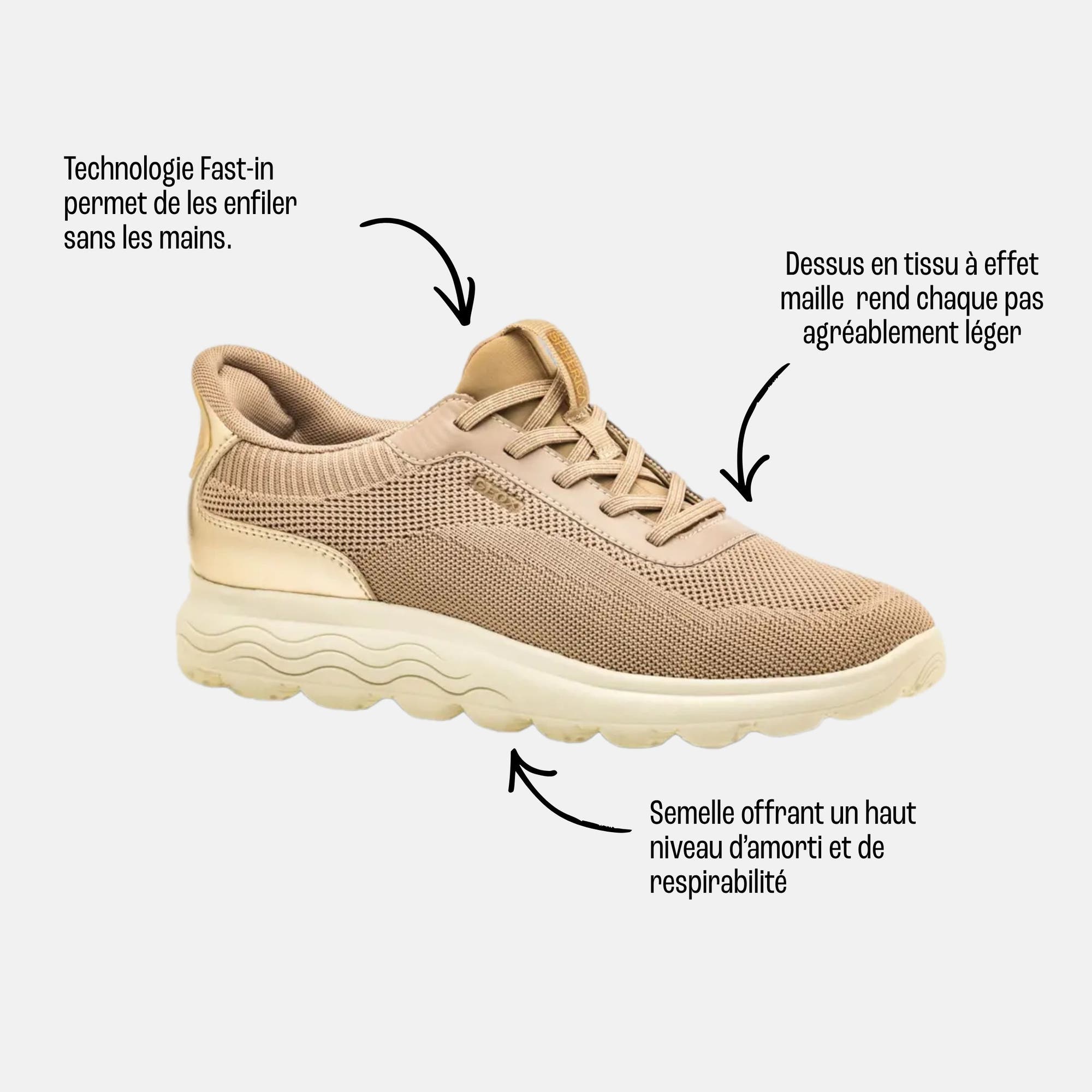 Baskets basses Femme taupe