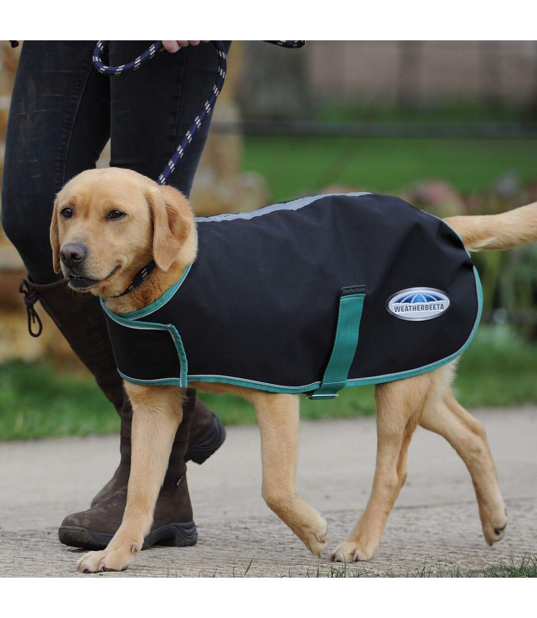 Weatherbeeta - Manteau pour chiens GREEN-TEC PLUS (Noir / Vert bouteille) (55 cm) - UTWB1734