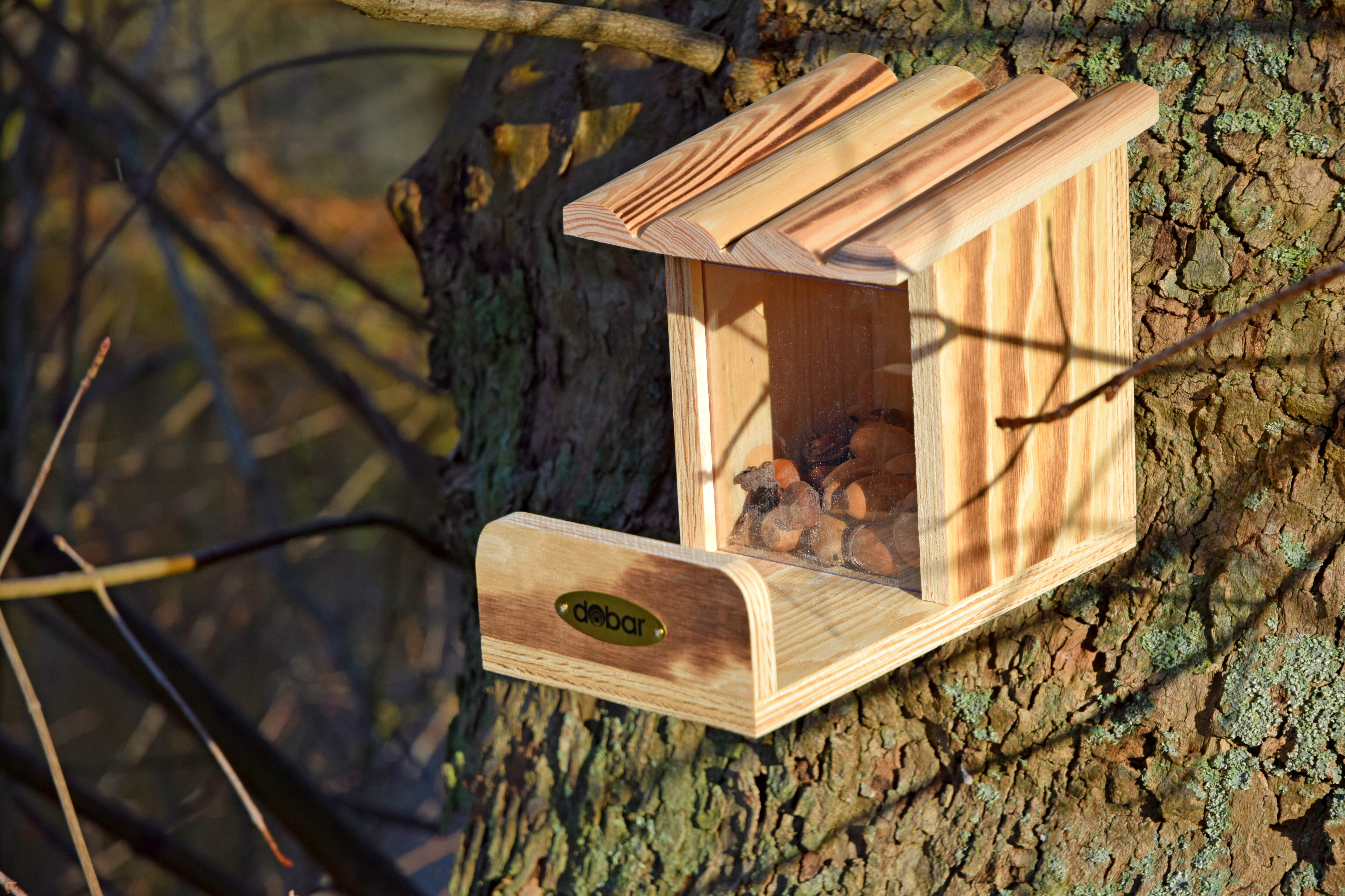 Eichhörnchen-Futterstation mit Futtersilo, Futterstelle aus Holz