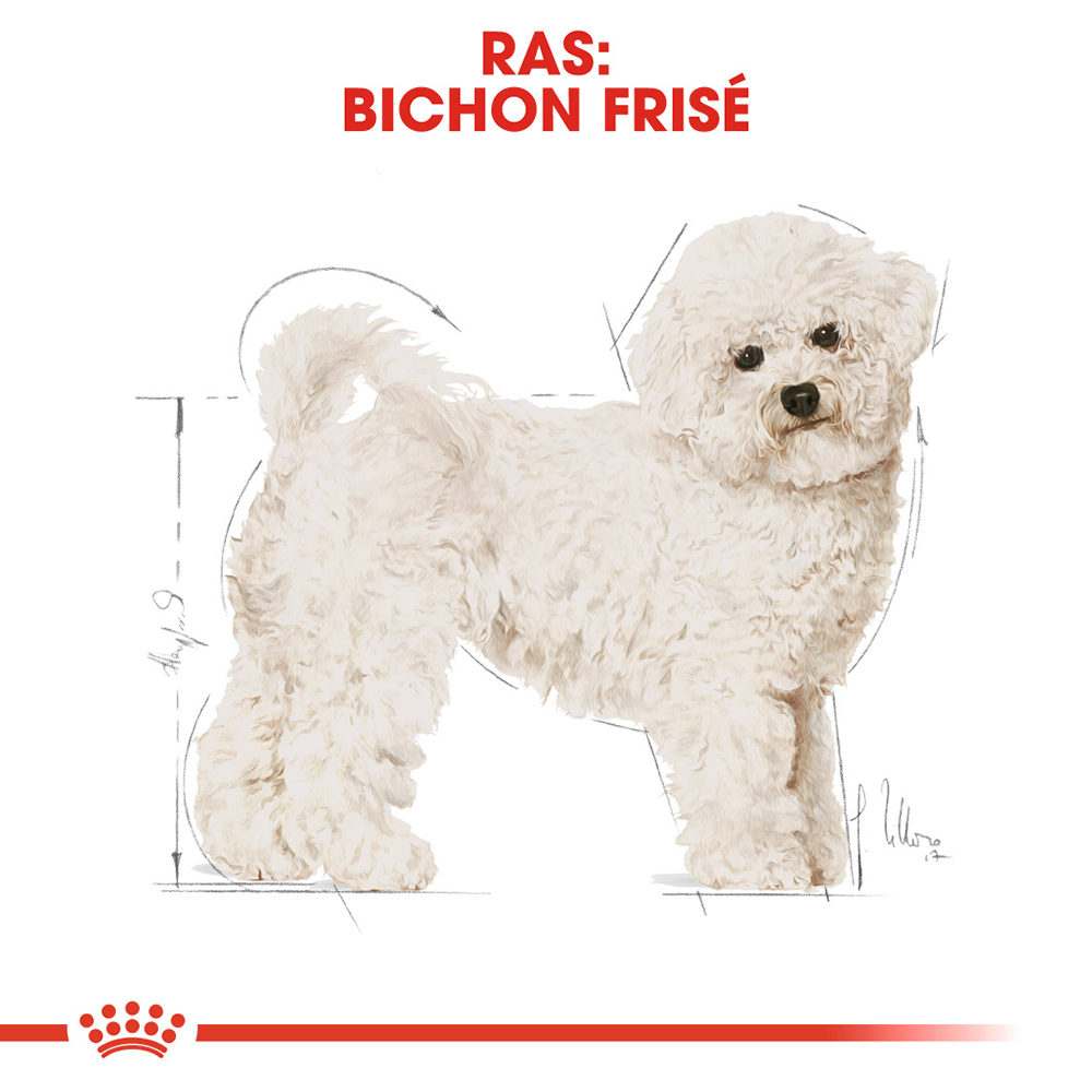 Royal Canin Bichon Frisé Adult - Hondenvoer