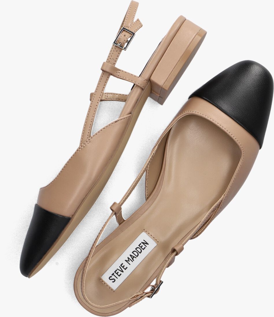 STEVE MADDEN bruine steve madden  belinda