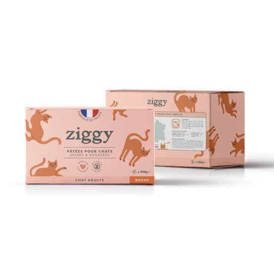 Pâtée pour chat bœuf 4x100g