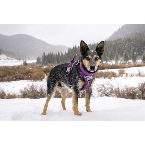 Hurtta Weekend Warrior Harness