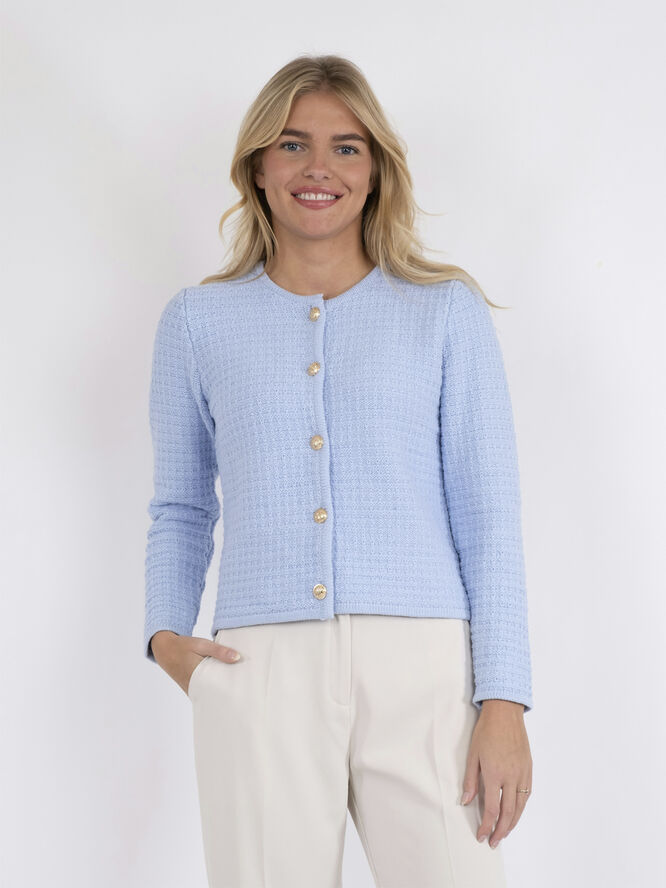 Neo Noir Limone Knit Jacket Light blue