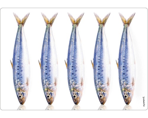 Keukenachterwand mySPOTTI pop fish 59x41 cm