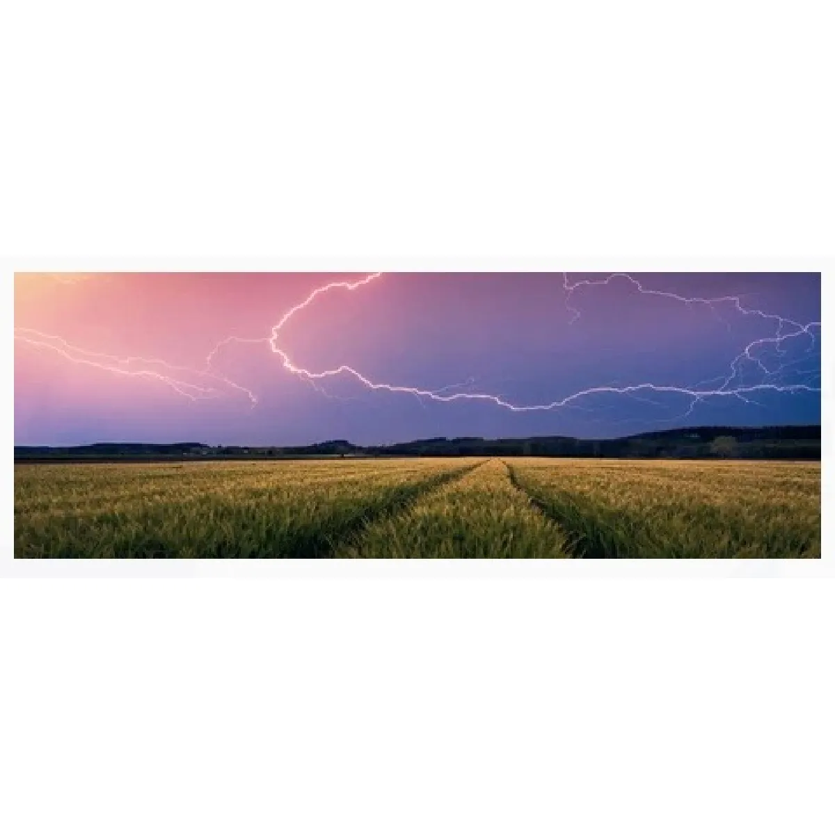 Ravensburger Orage d'Été Nature Edition 500 pièces